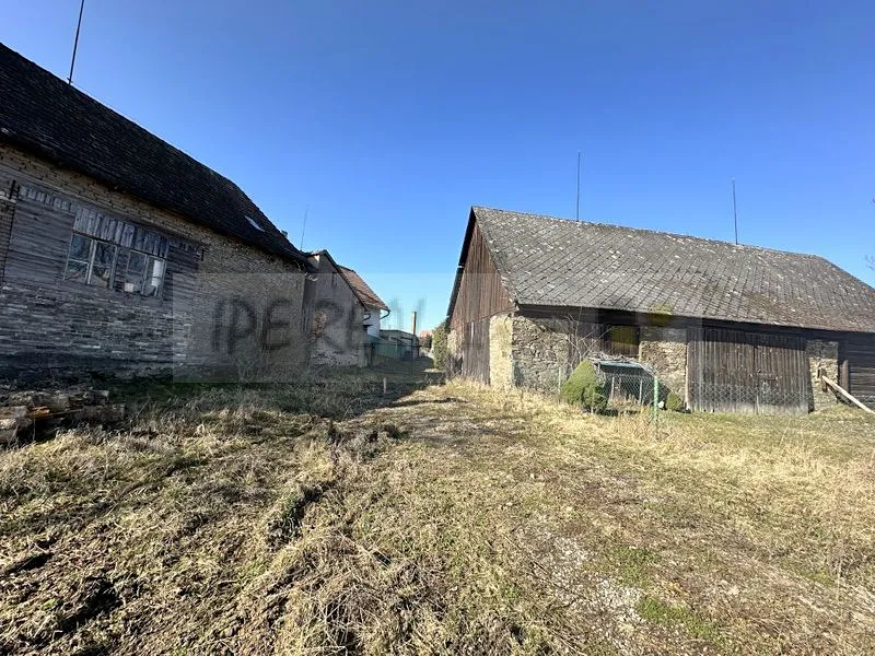 Fotka 5 z 11